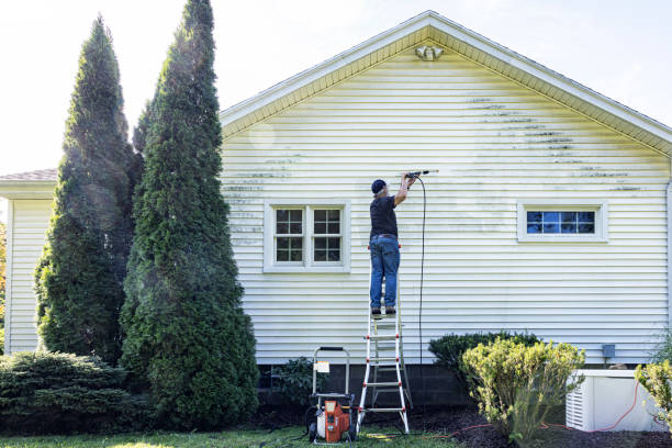 Best Building Exterior Washing  in Alpha, NJ
